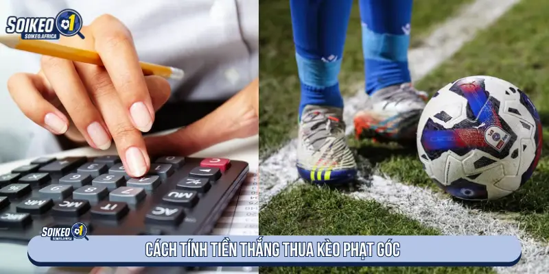 Cách đọc line tổng góc và chấp góc