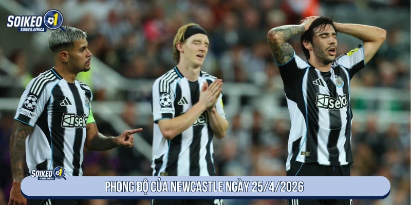 Phong độ Newcastle trước chuyến làm khách ngày 25/4/2026