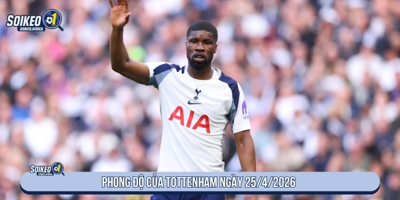 Phong độ Tottenham trước trận Wolves ngày 25/4/2026