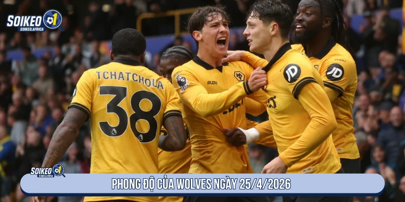 Phong độ Wolves trước trận Tottenham ngày 25/4/2026