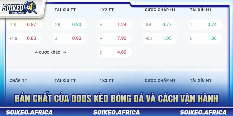 Odds kèo bóng đá là gì và cách đọc trên bảng tỷ lệ