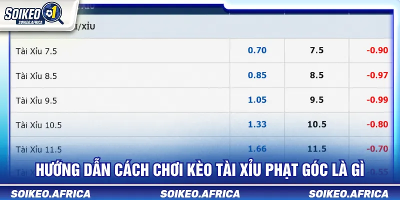 Tài Xỉu Phạt Góc Là Gì? Cách Đọc Mốc Corner & Odds Odds và mốc tài xỉu phạt góc trước trận
