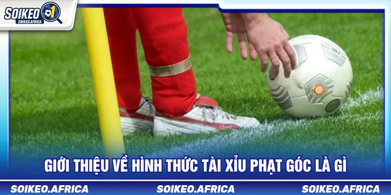 Tài Xỉu Phạt Góc Là Gì? Cách Đọc Mốc Corner & Odds Các mốc tài xỉu phạt góc thường gặp